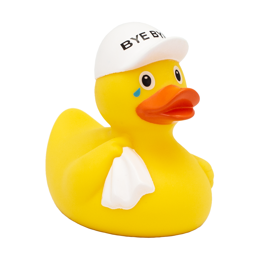 Bye Bye Duck