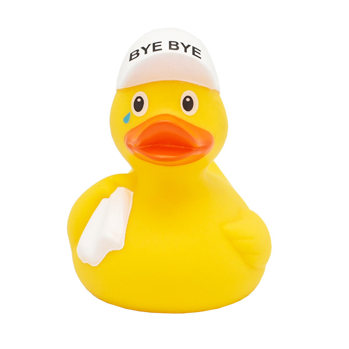 Bye Bye Duck