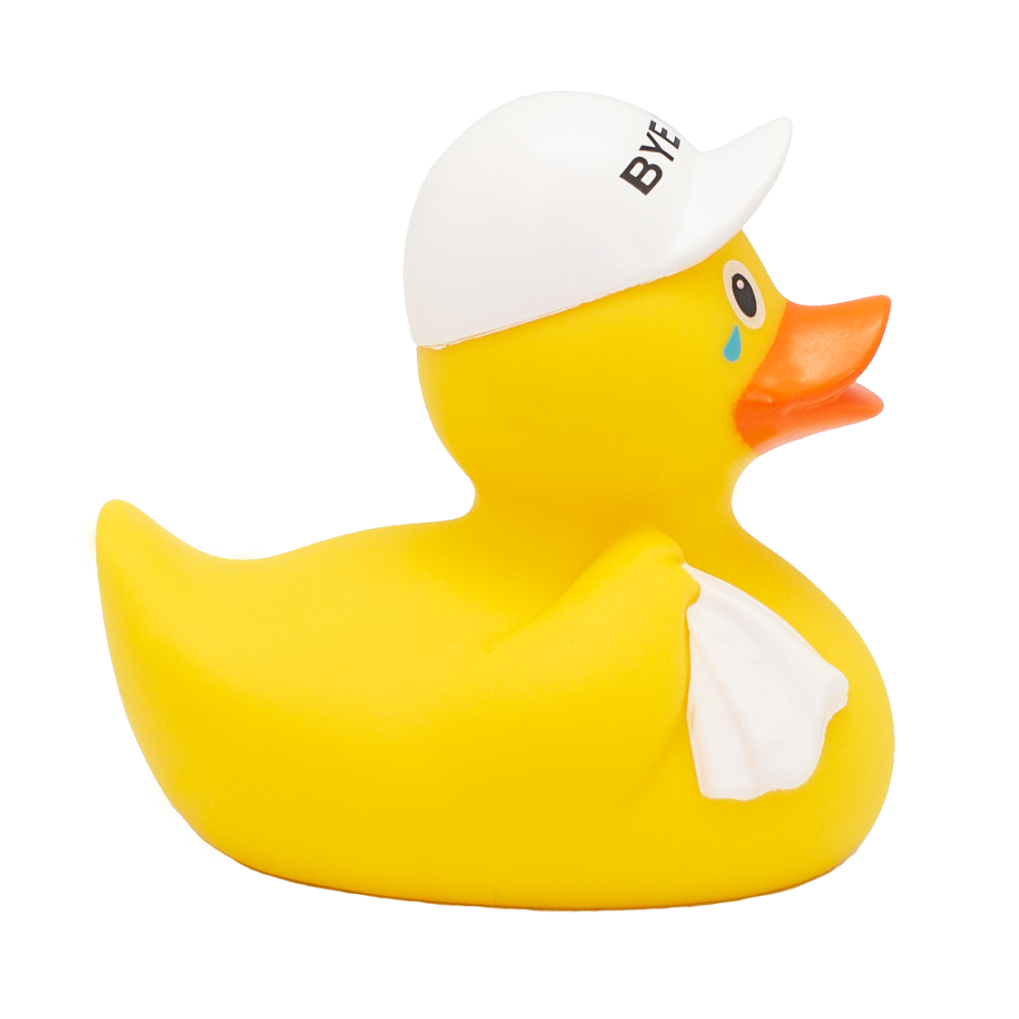 Bye Bye Duck