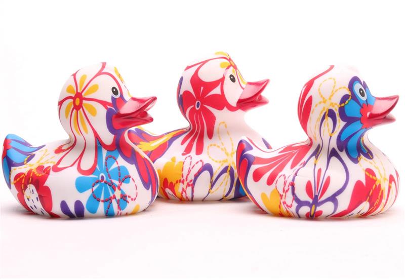 Forget me not flower duck