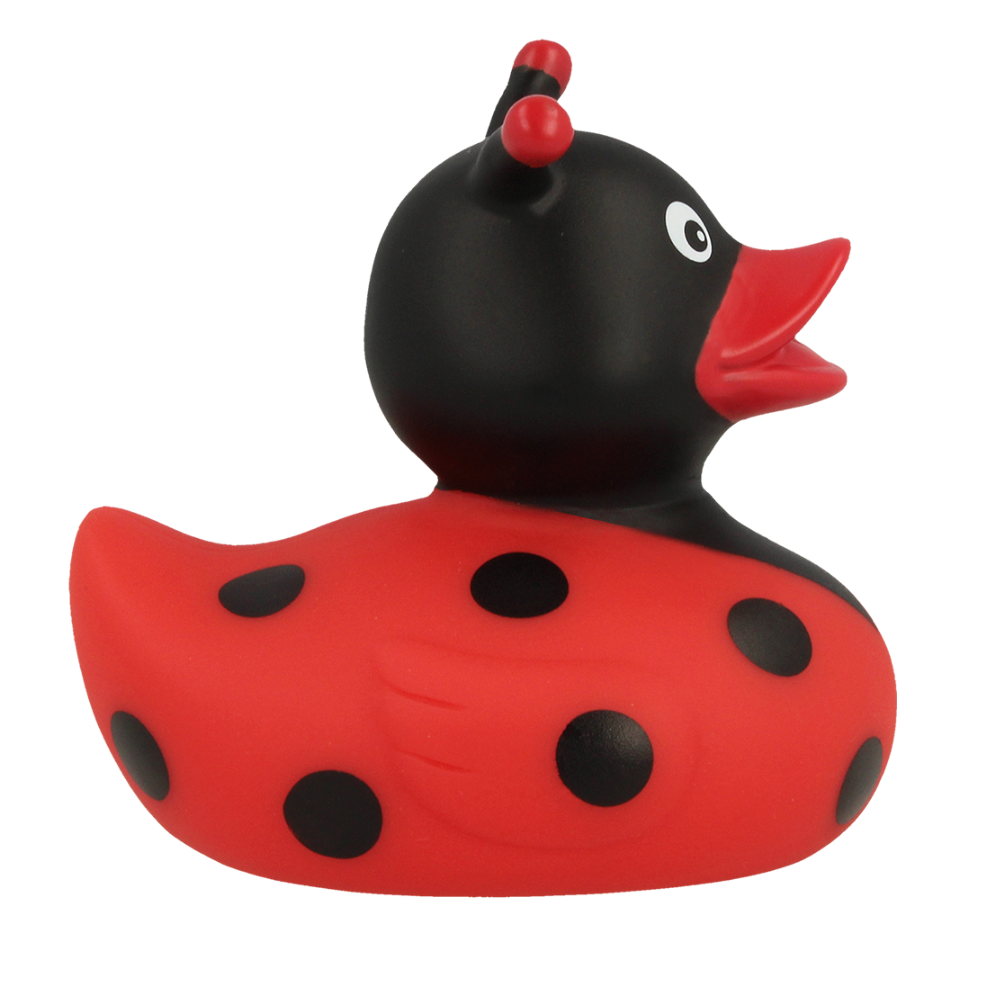Ladybug Duck