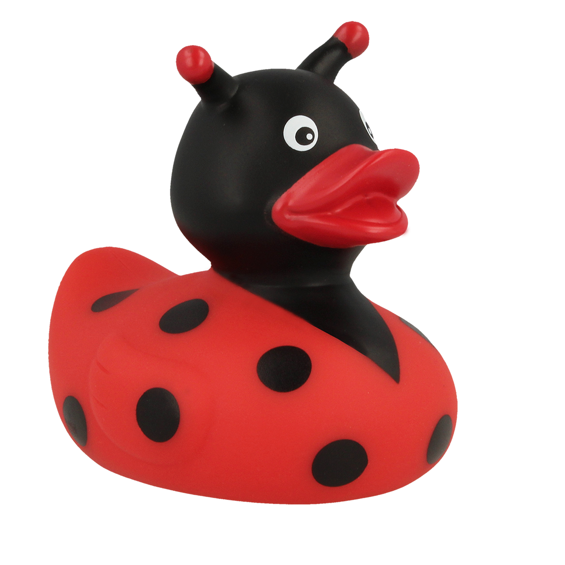 Ladybug Duck