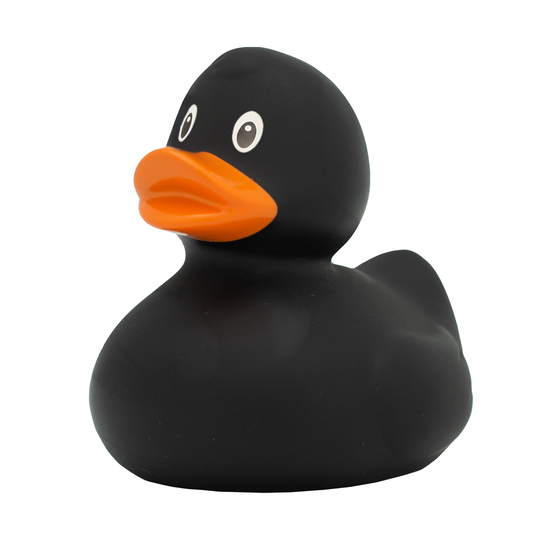 Midnight Quacker duck