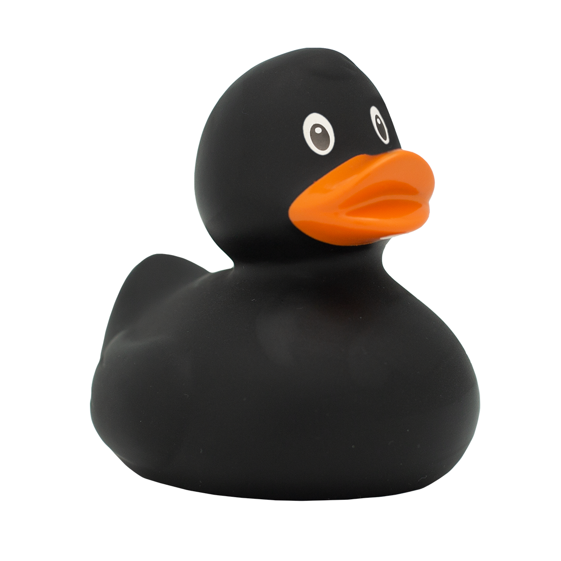 Midnight Quacker duck