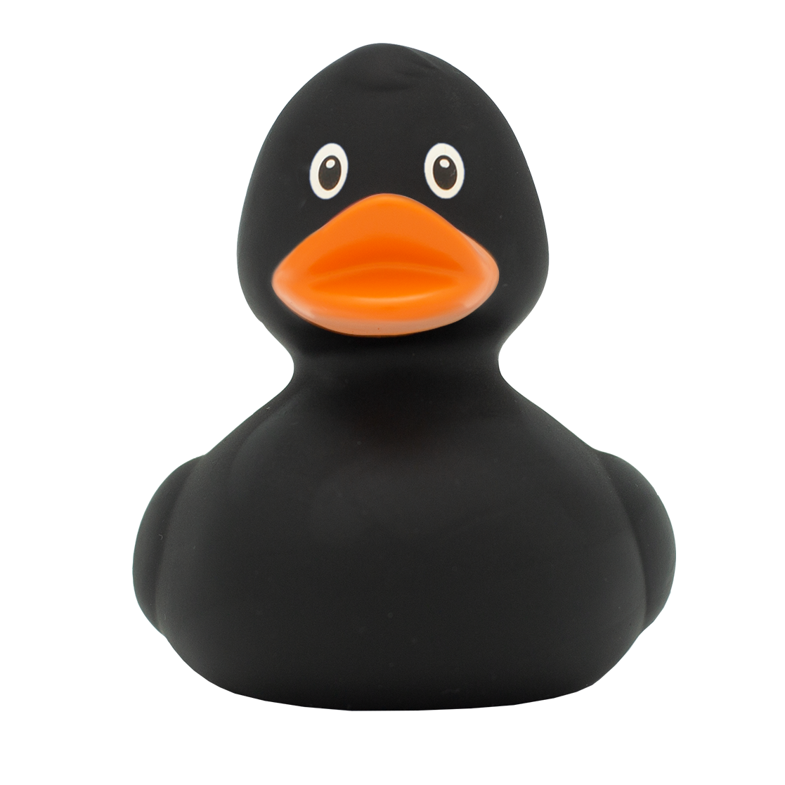 Midnight Quacker duck