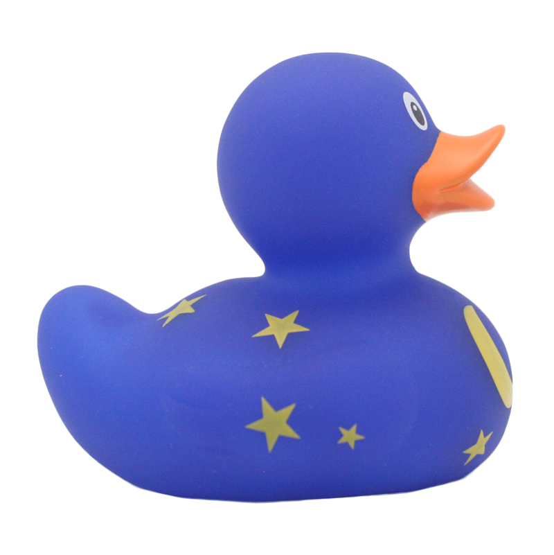 Moon And Stars Duck