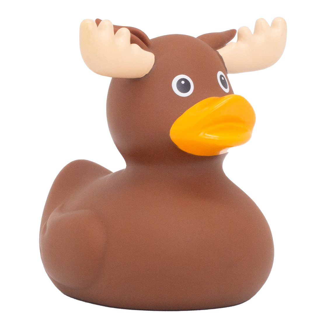 Moose Duck