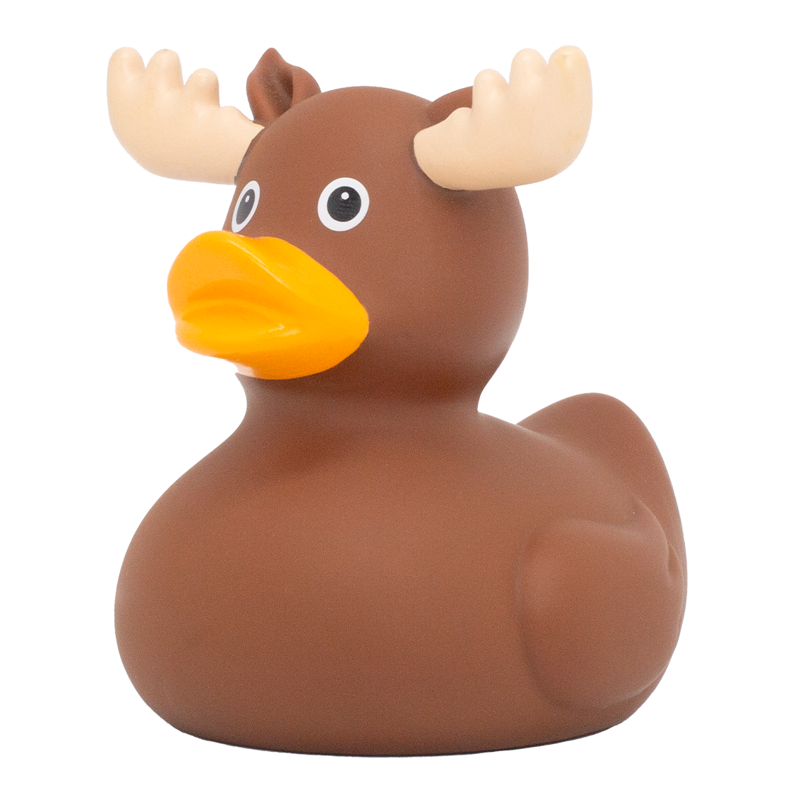 Moose Duck