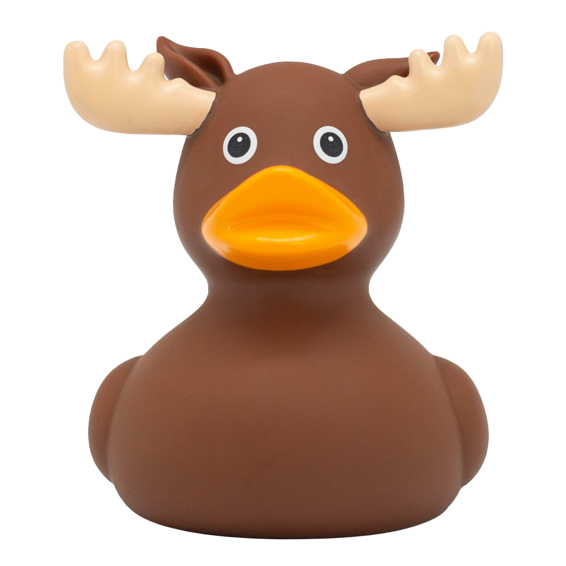 Moose Duck