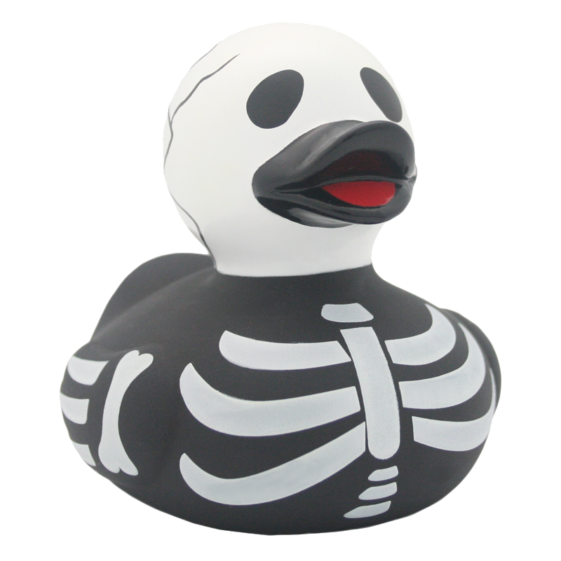 Skeleton Duck