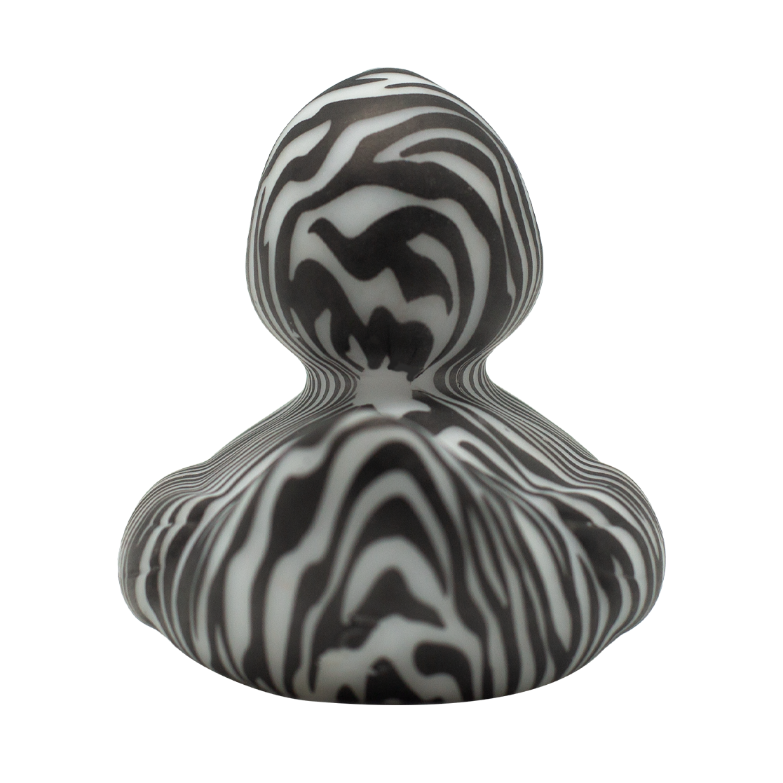 Zebra Duck