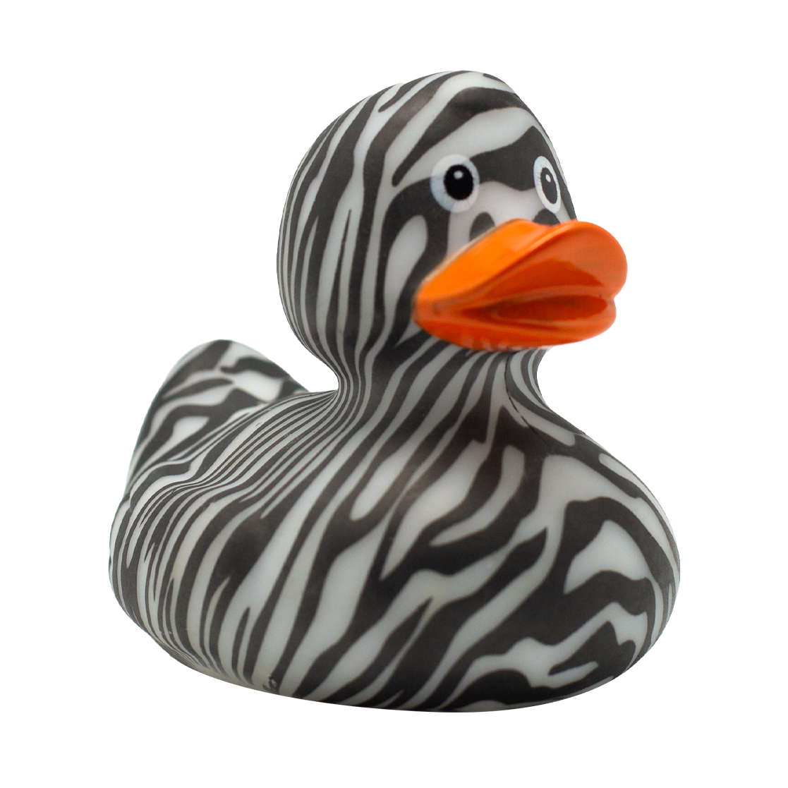 Zebra Duck
