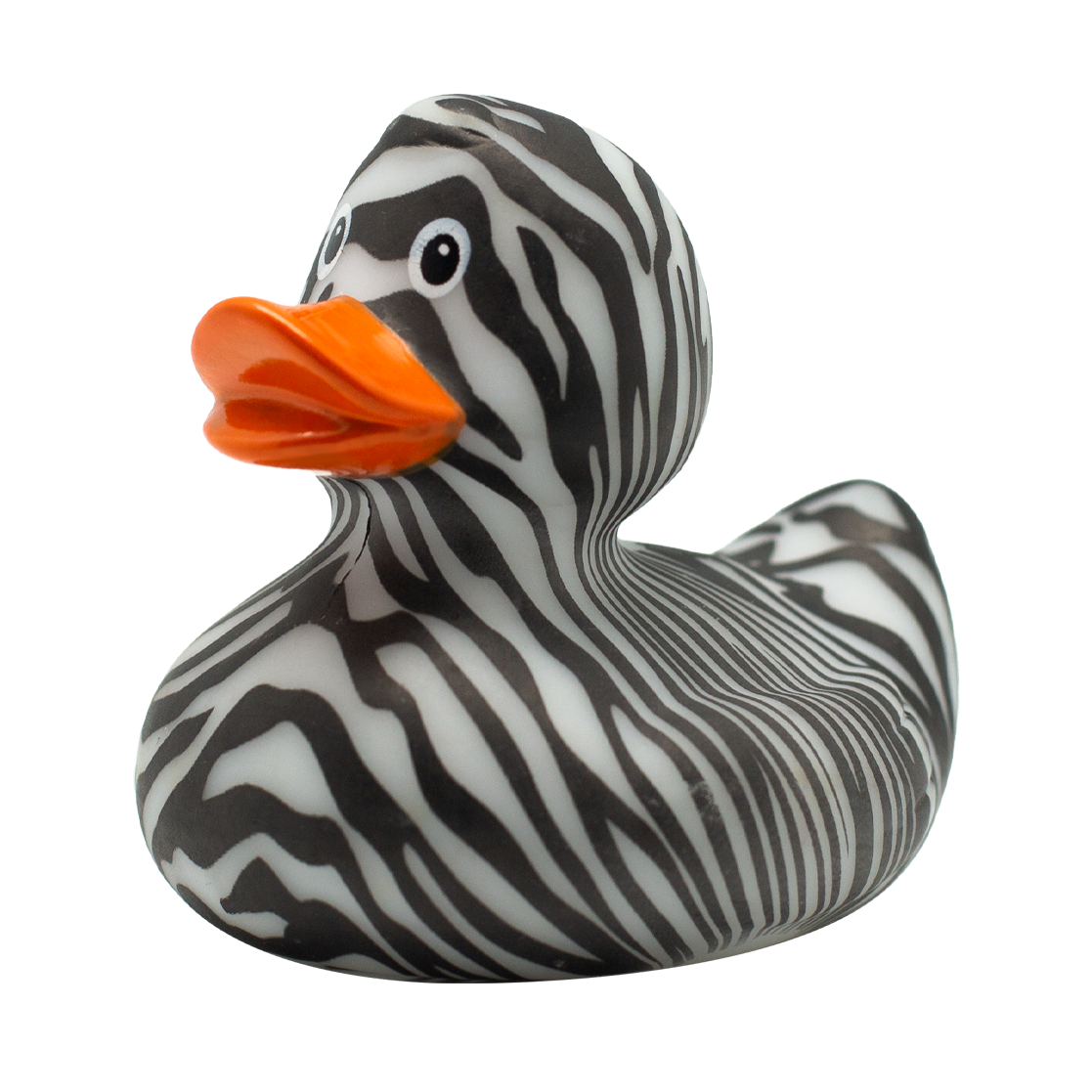 Zebra Duck