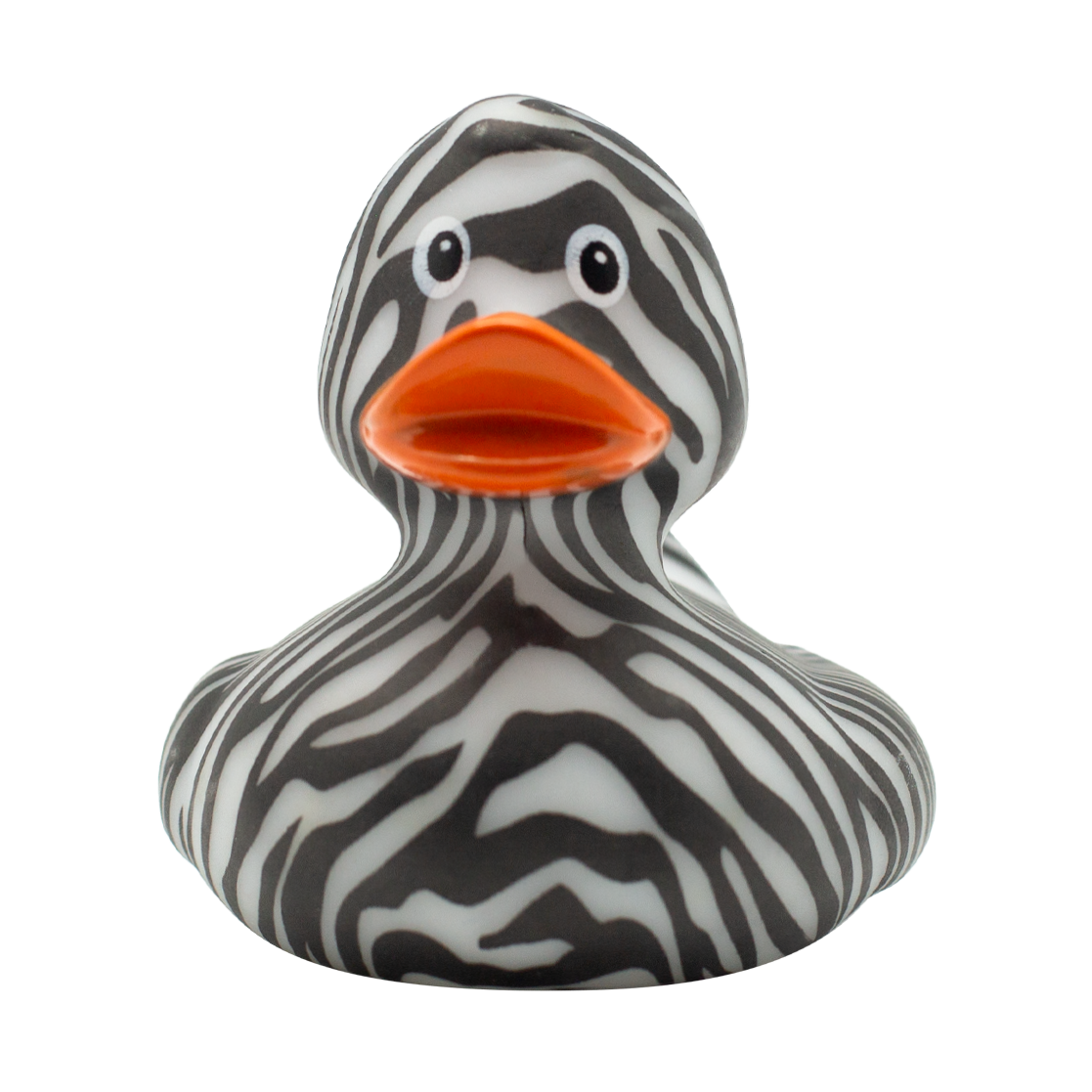 Zebra Duck