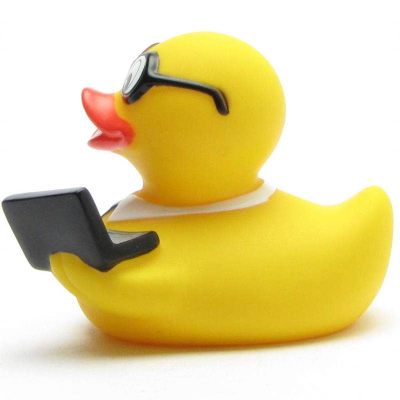 Duck with Notebook
