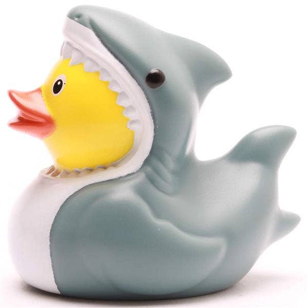 Shark rubber duck