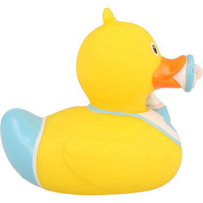 Baby Boy Duck