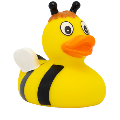 Buzzy Bee Duck