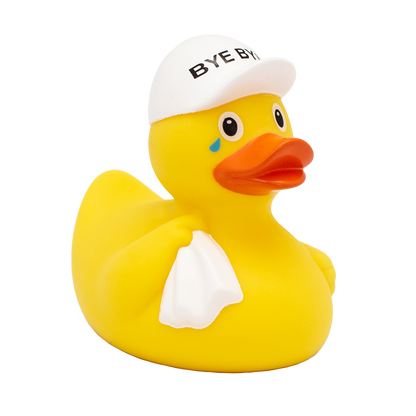 Bye Bye Duck