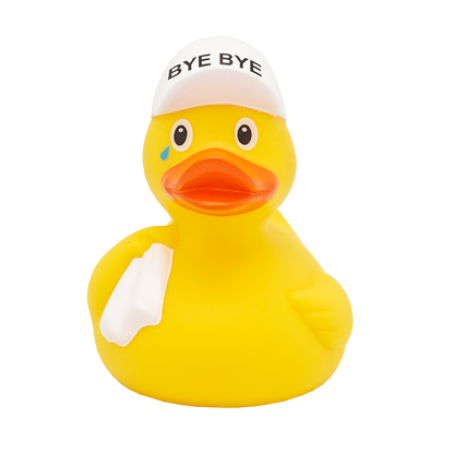 Bye Bye Duck