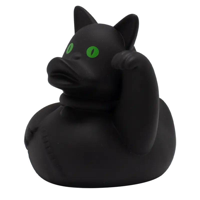 Chat fou canard