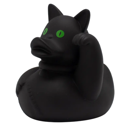 Chat fou canard