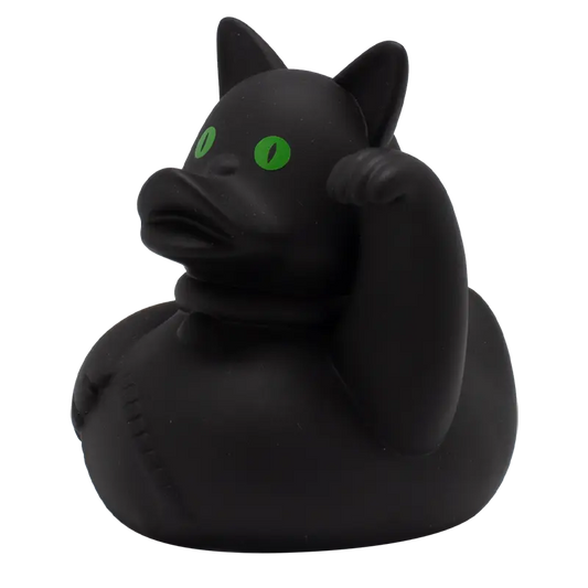 Crazy Cat Duck