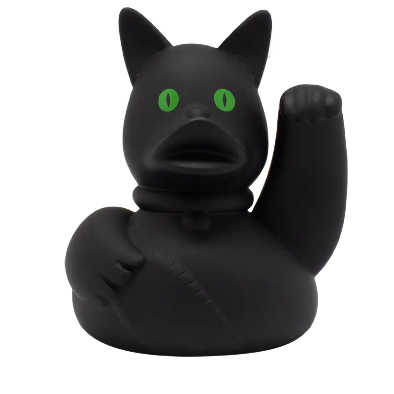 Chat fou canard