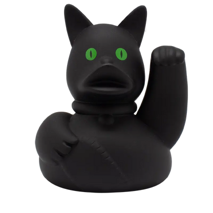 Chat fou canard