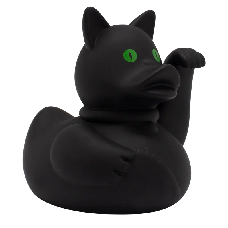 Chat fou canard