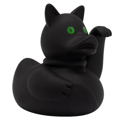 Chat fou canard