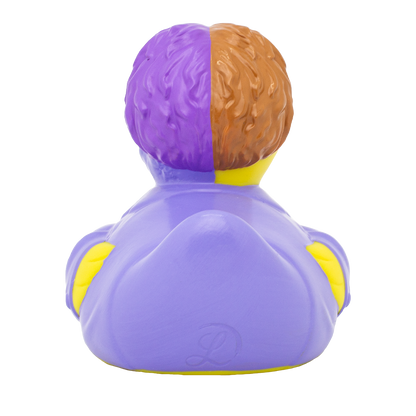 Two-Face Duck