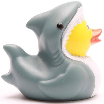 Shark rubber duck