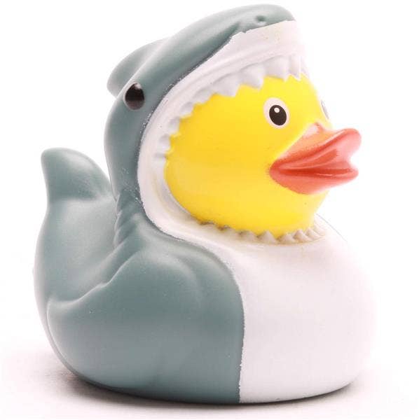 Shark rubber duck