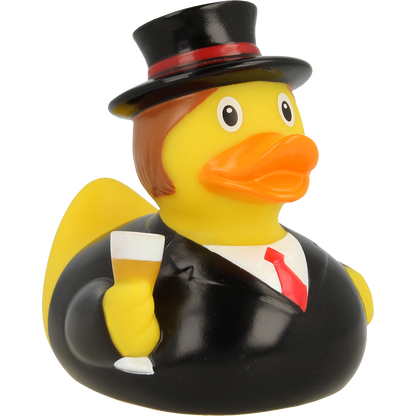 Groom Duck