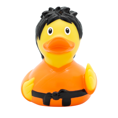 Kung Fu Duck
