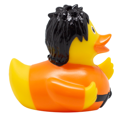 Kung Fu Duck