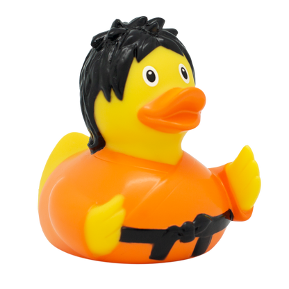 Kung Fu Duck