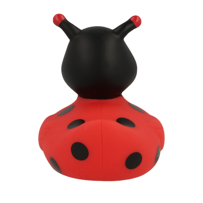Ladybug Duck