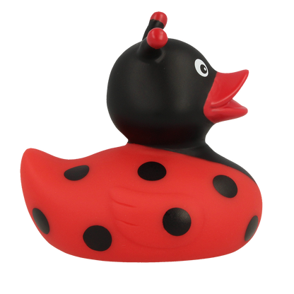 Ladybug Duck