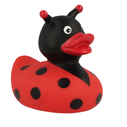 Ladybug Duck