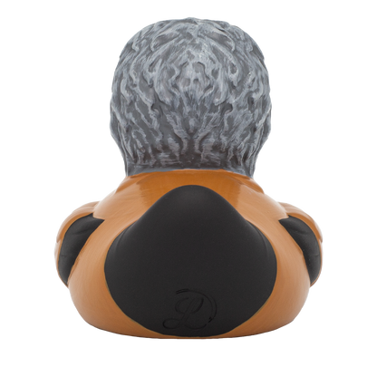 Grey Mask Duck