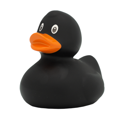 Midnight Quacker duck