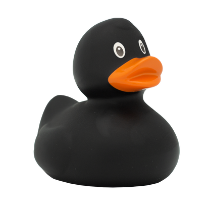 Midnight Quacker duck