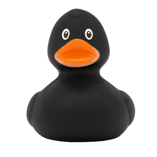 Midnight Quacker duck