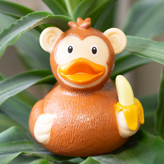 Monkey Duck