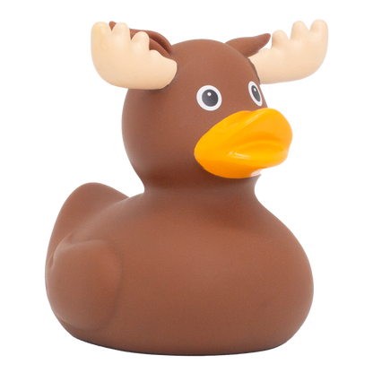 Moose Duck