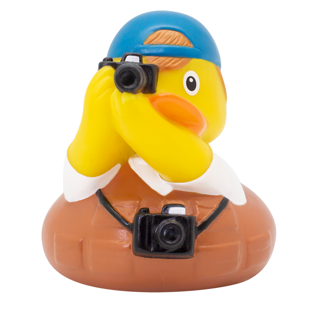 Photographer Duck