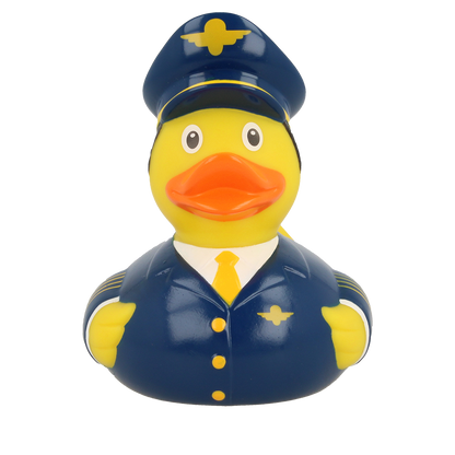 Pilot Duck