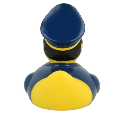 Pilot Duck
